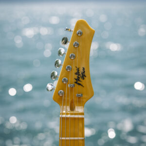 Montreux Jazz Festival - Franschhoek